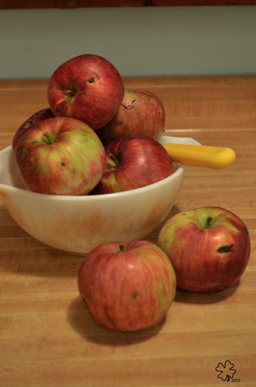 A bowl of apples, ready for the knife